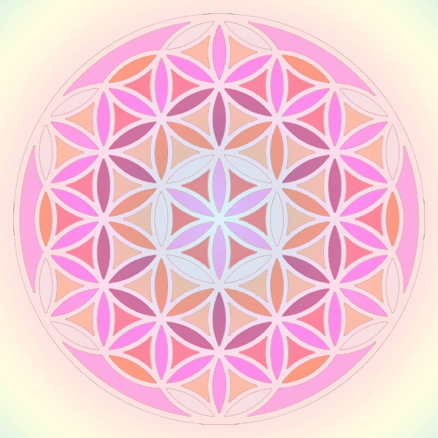 Geometry/Gender Neutral