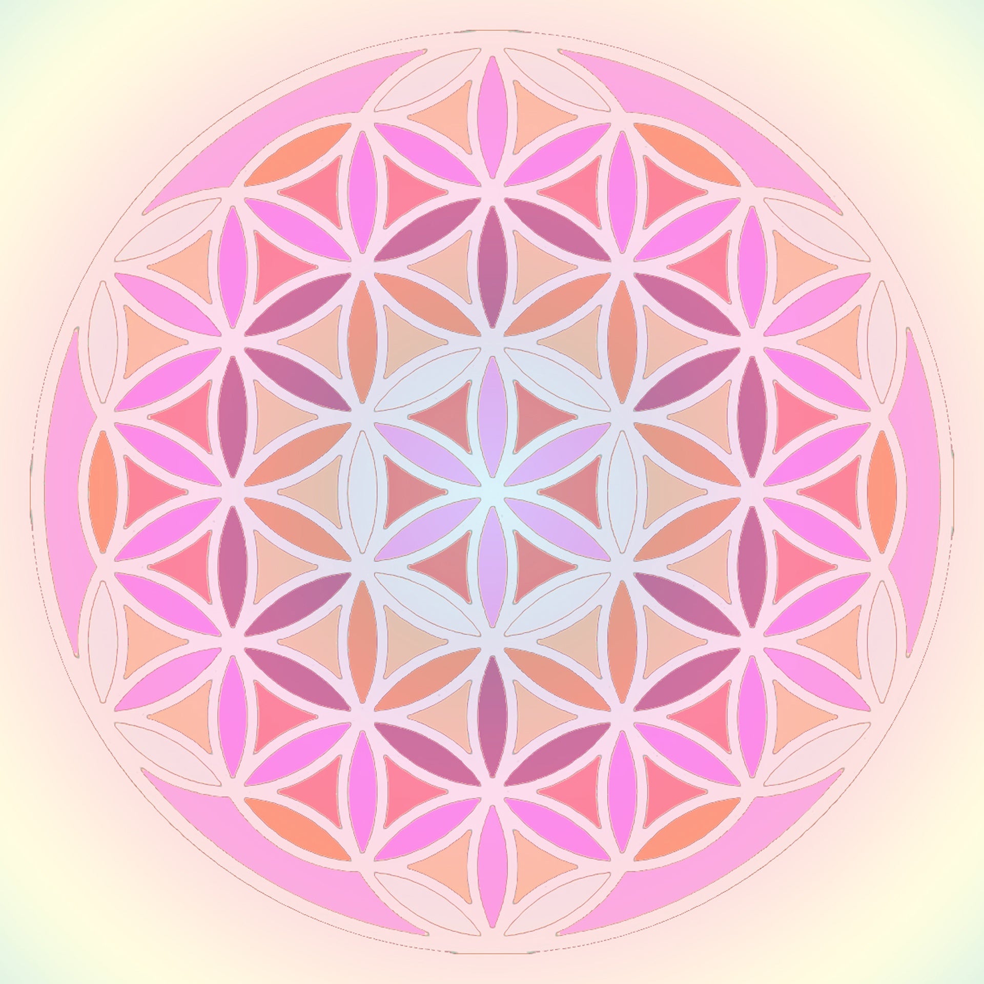 Geometry/Gender Neutral