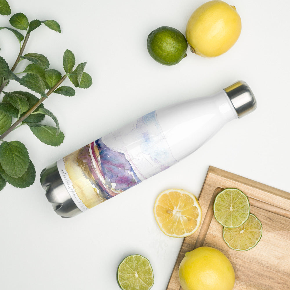 Guest Artist | Claudia Cutler | House Mountain Stainless Steel Water Bottle