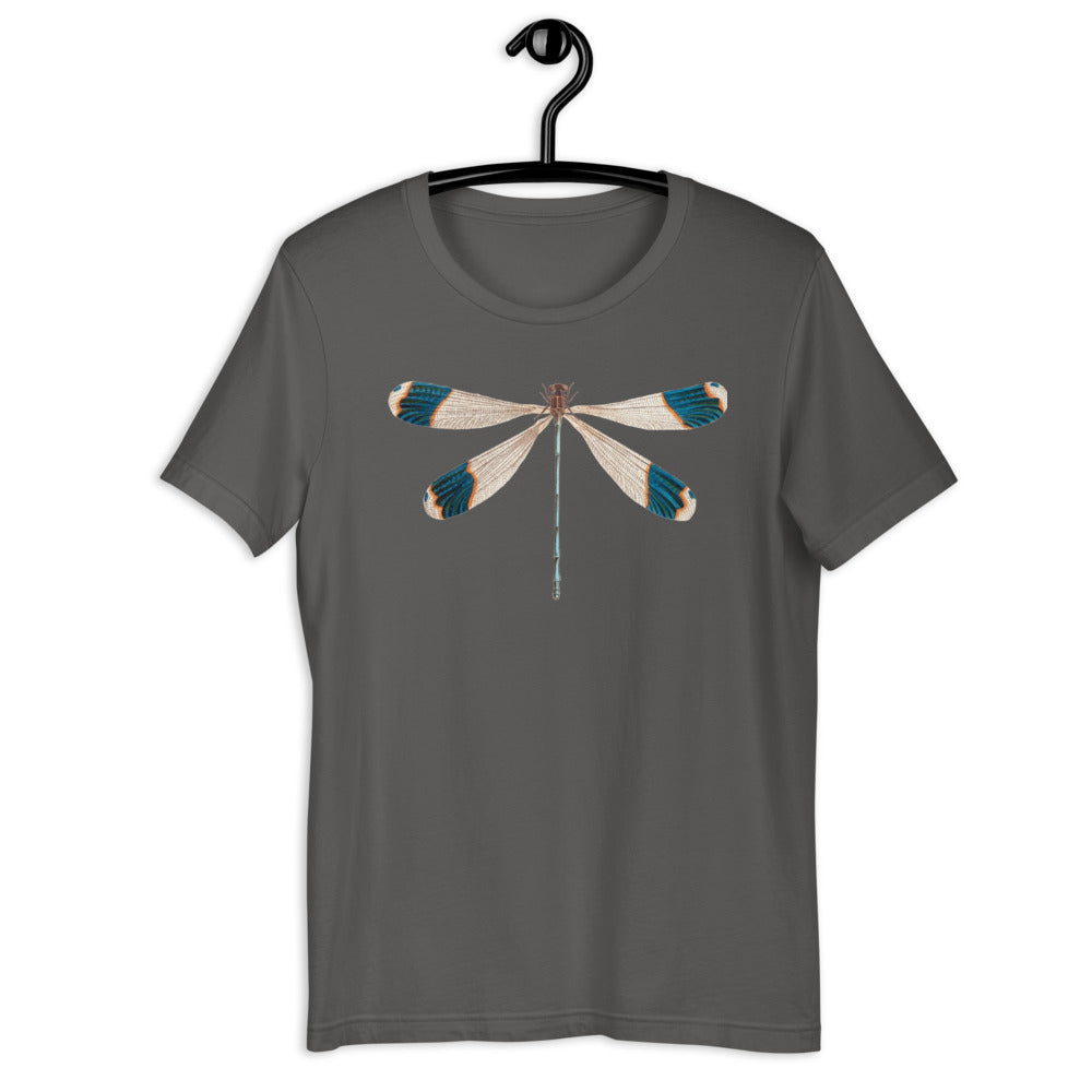Winged Creatures | Dragonfly