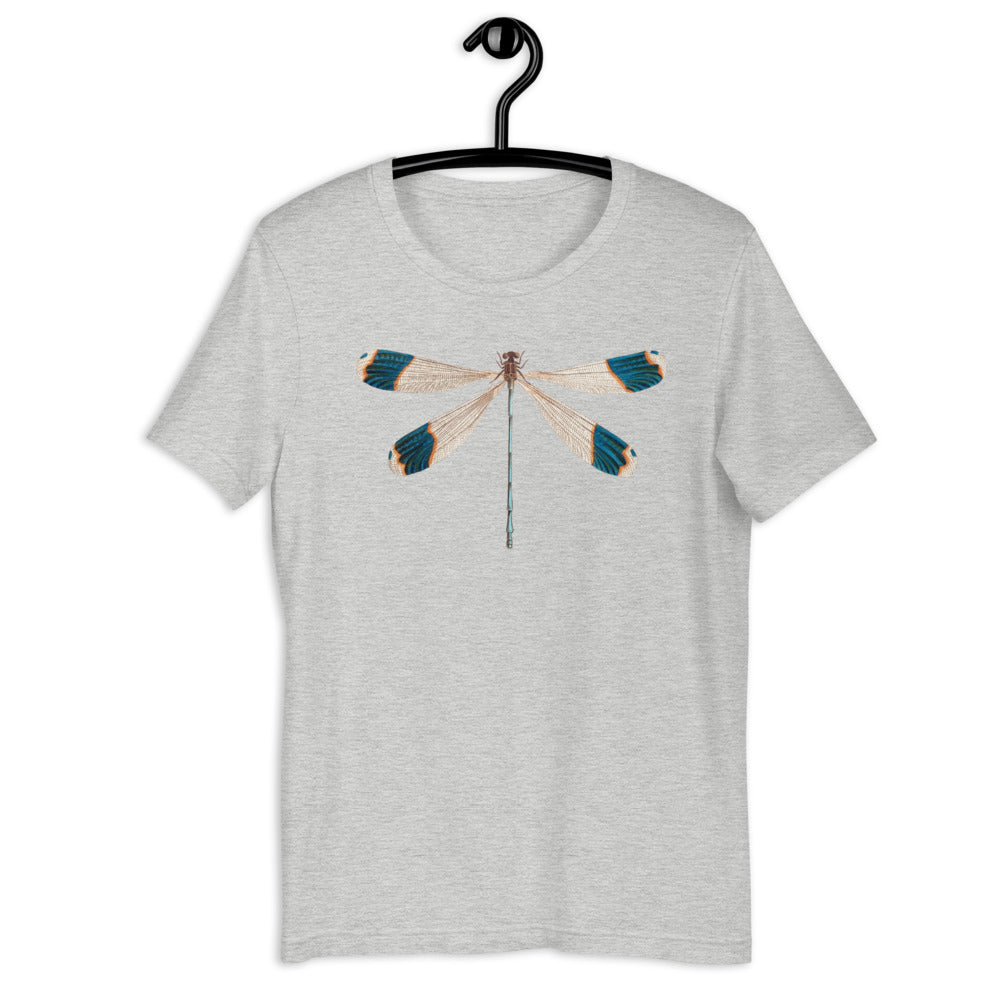 Winged Creatures | Dragonfly