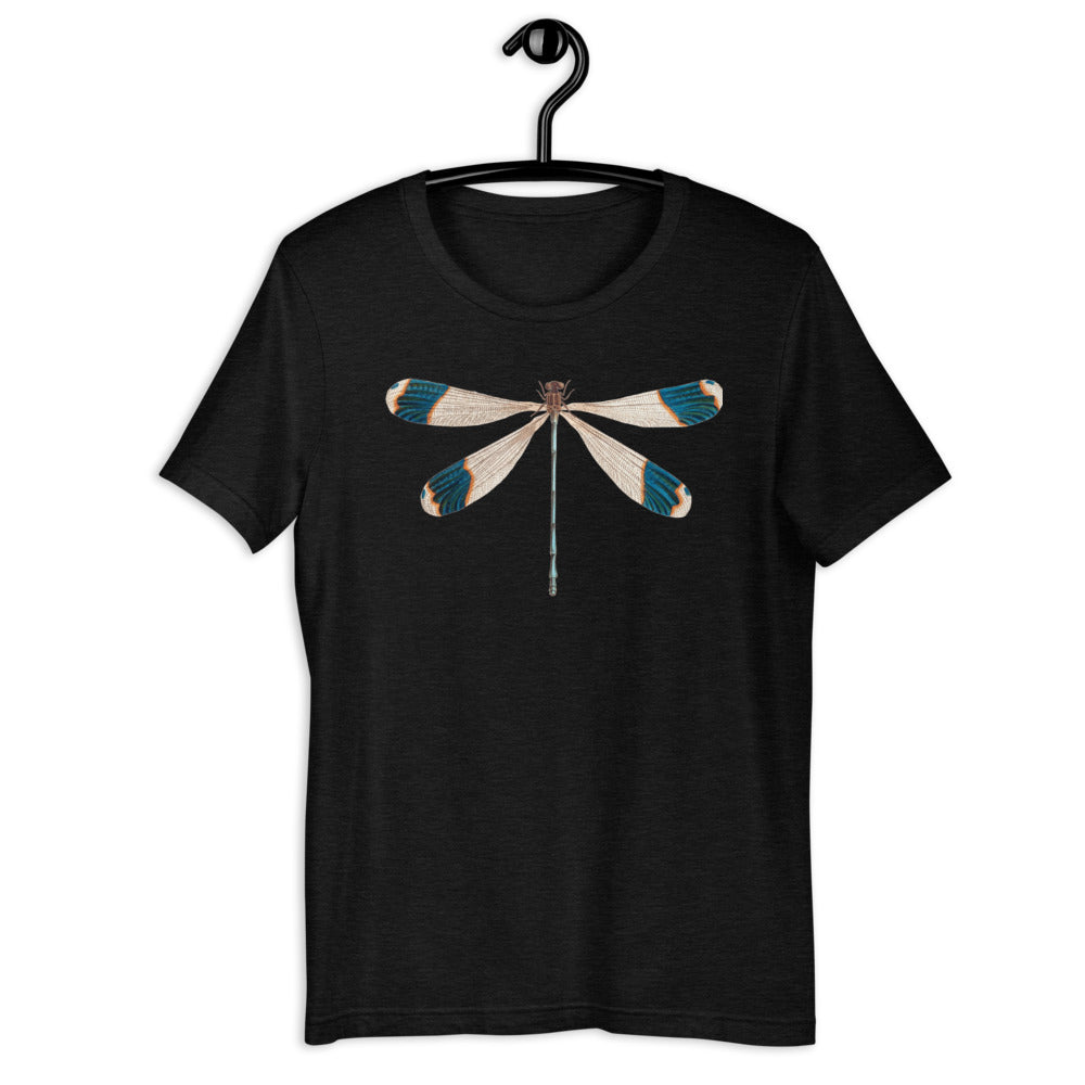 Winged Creatures | Dragonfly