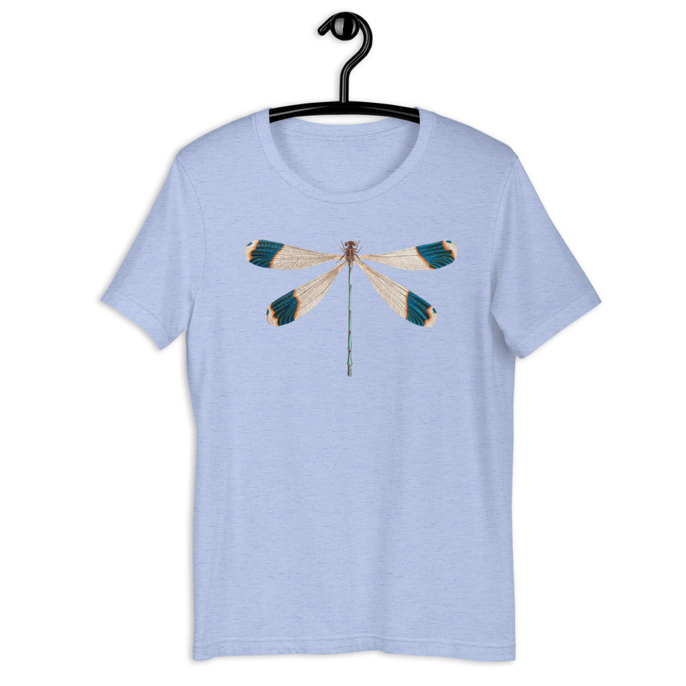 Winged Creatures | Dragonfly
