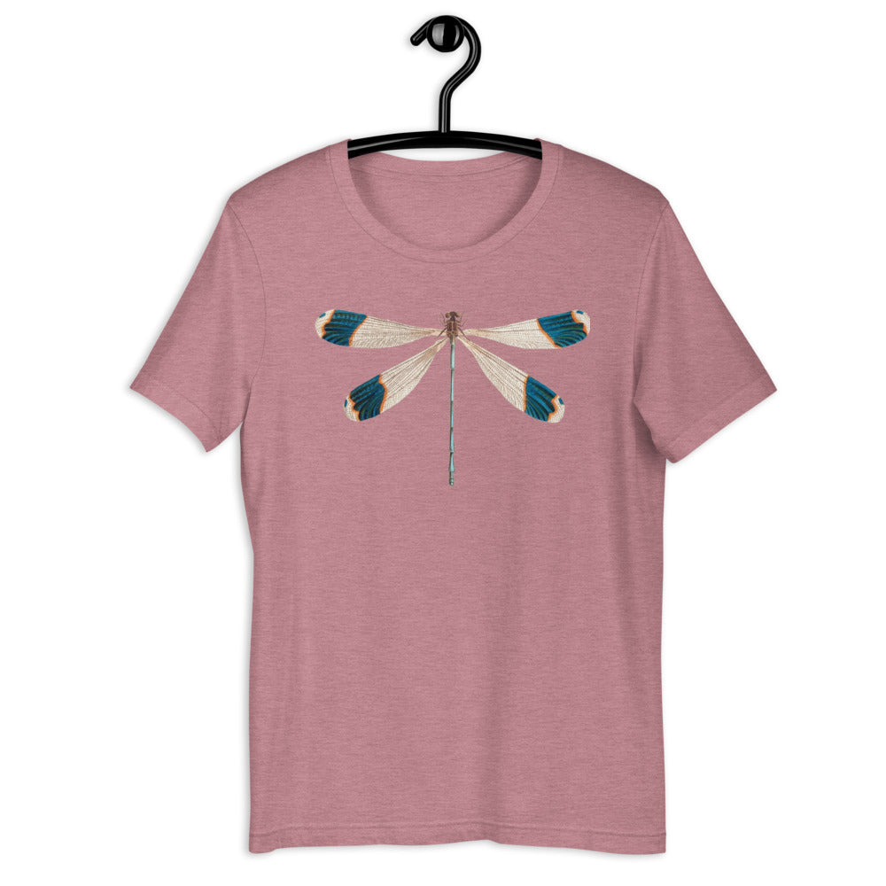 Winged Creatures | Dragonfly