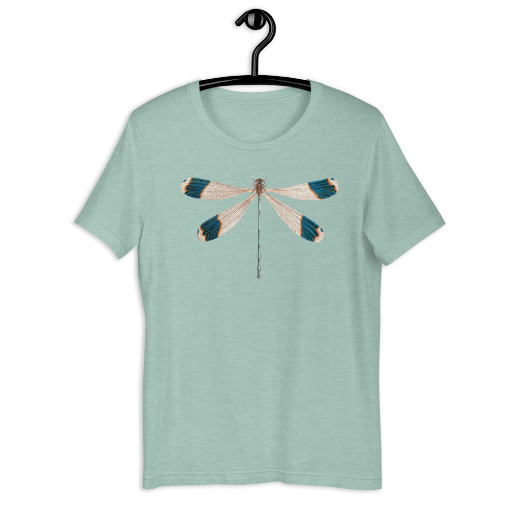 Winged Creatures | Dragonfly