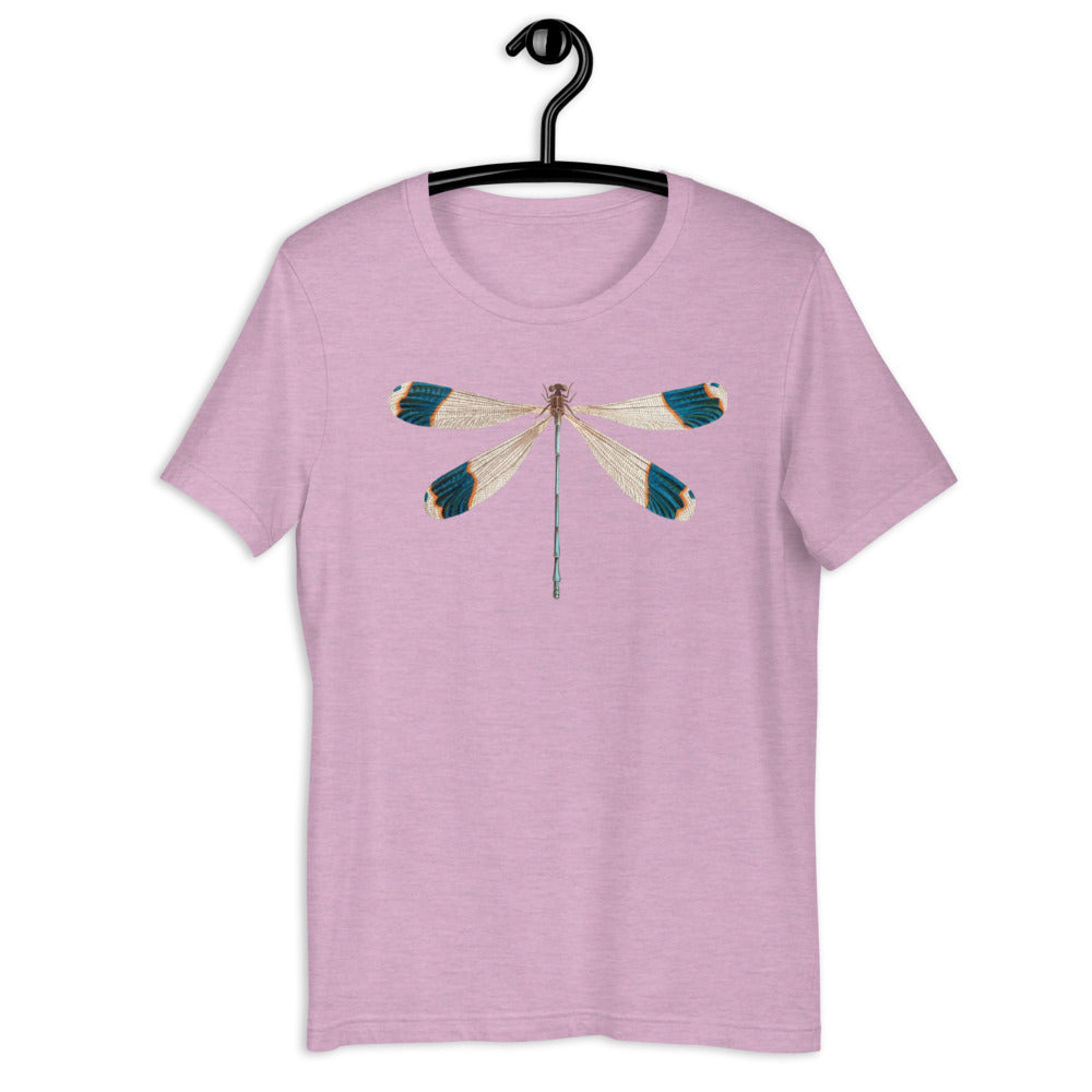 Winged Creatures | Dragonfly