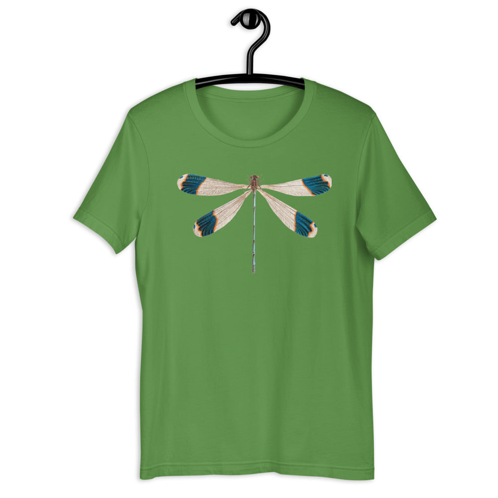 Winged Creatures | Dragonfly