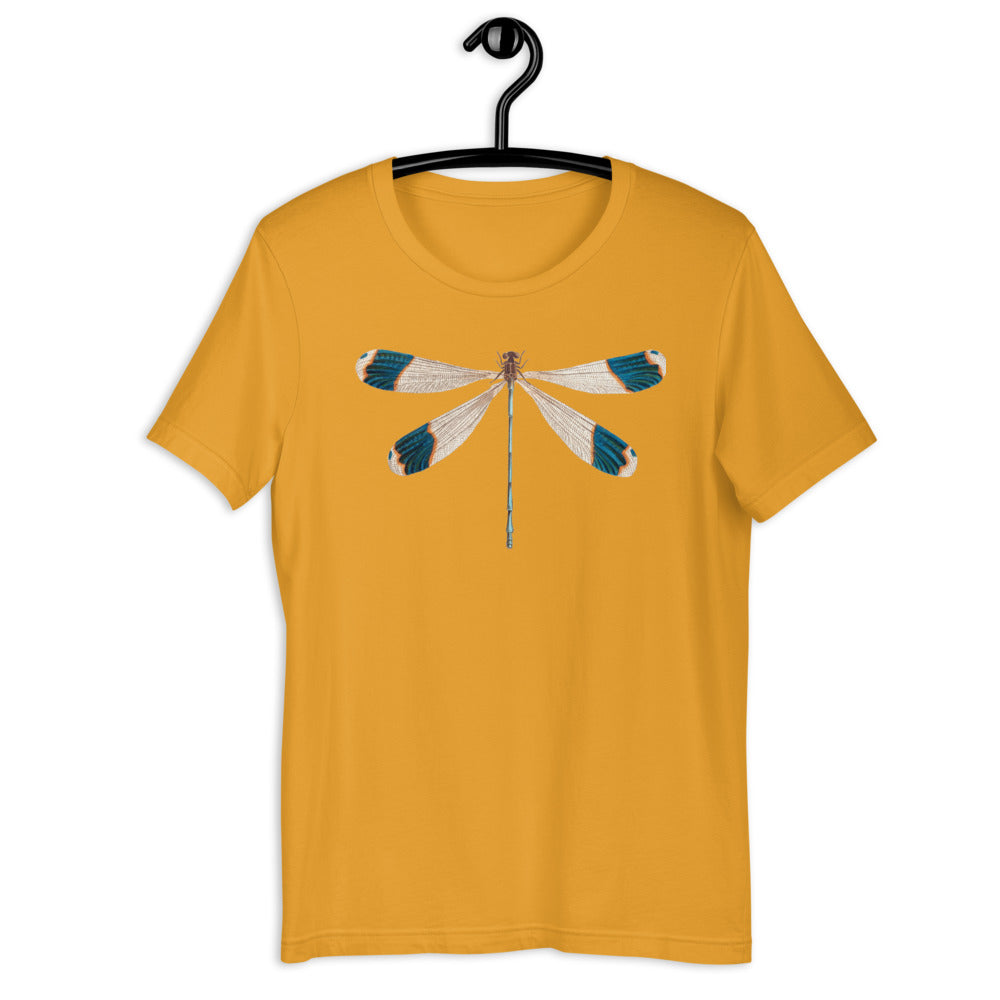 Winged Creatures | Dragonfly
