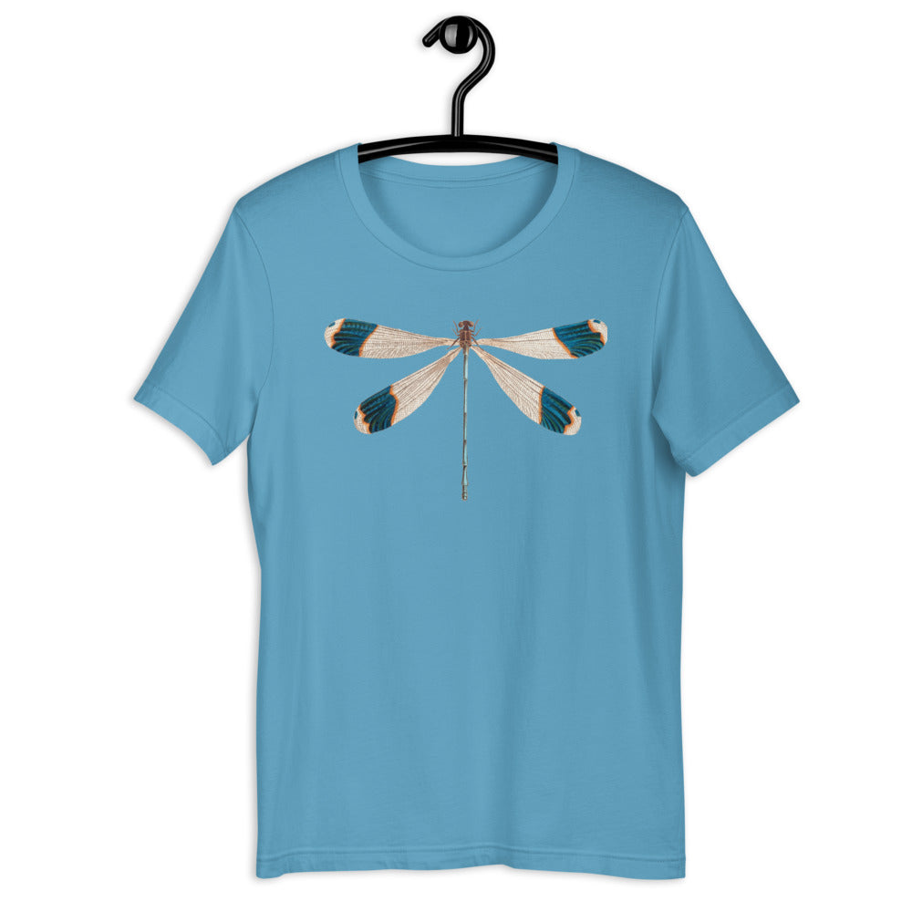 Winged Creatures | Dragonfly