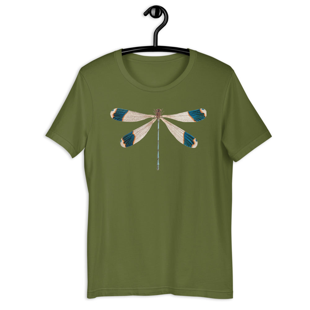 Winged Creatures | Dragonfly
