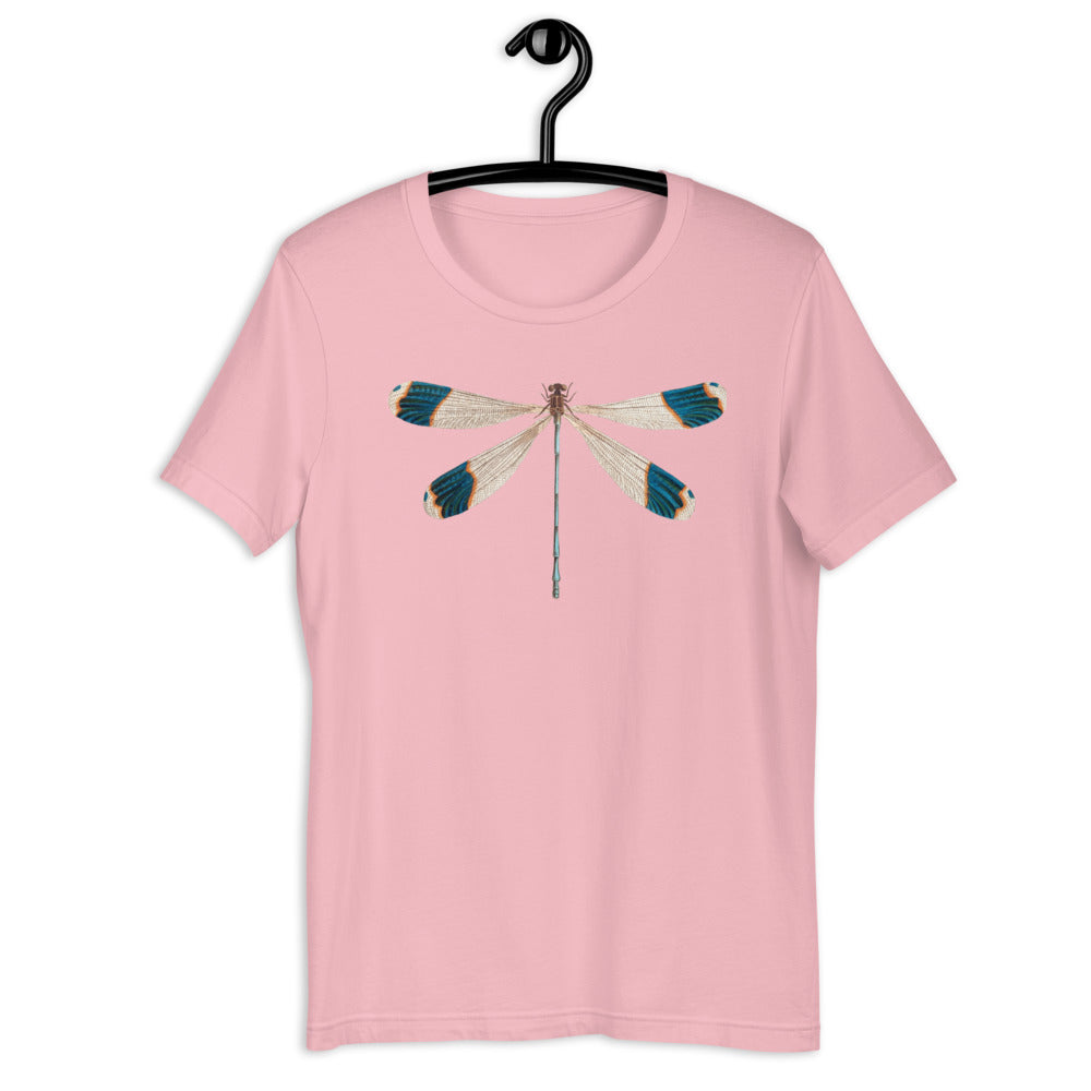 Winged Creatures | Dragonfly