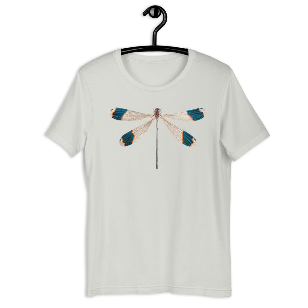 Winged Creatures | Dragonfly