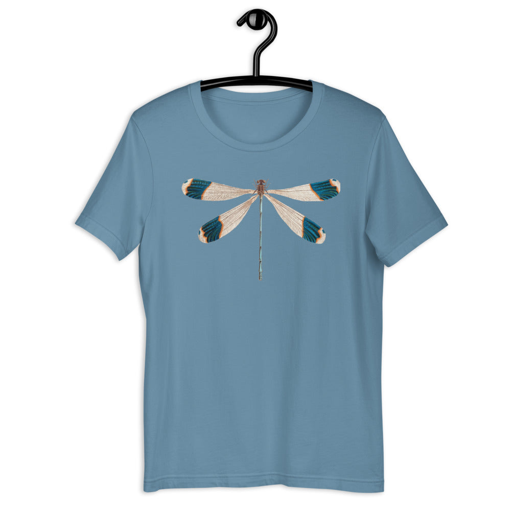Winged Creatures | Dragonfly