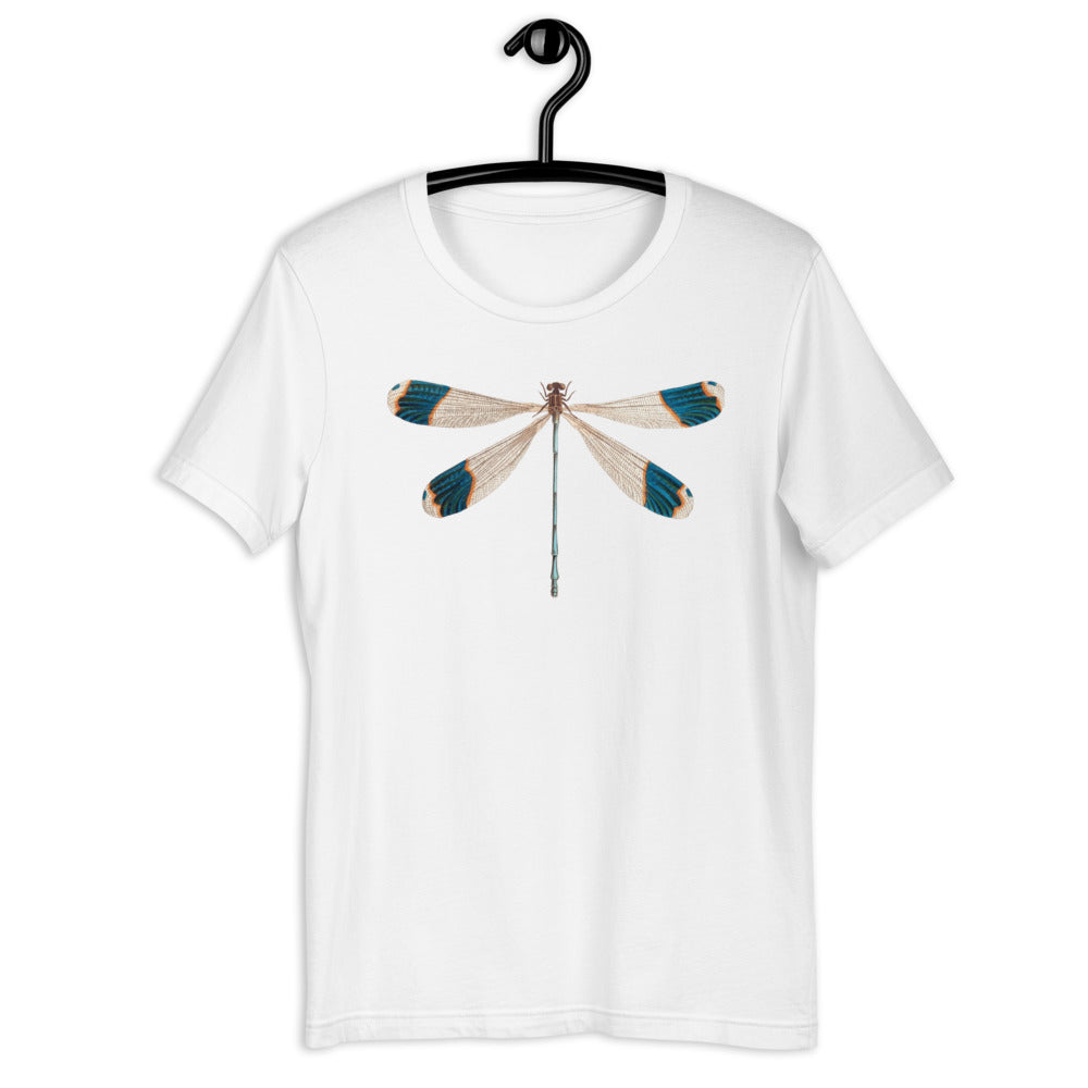 Winged Creatures | Dragonfly