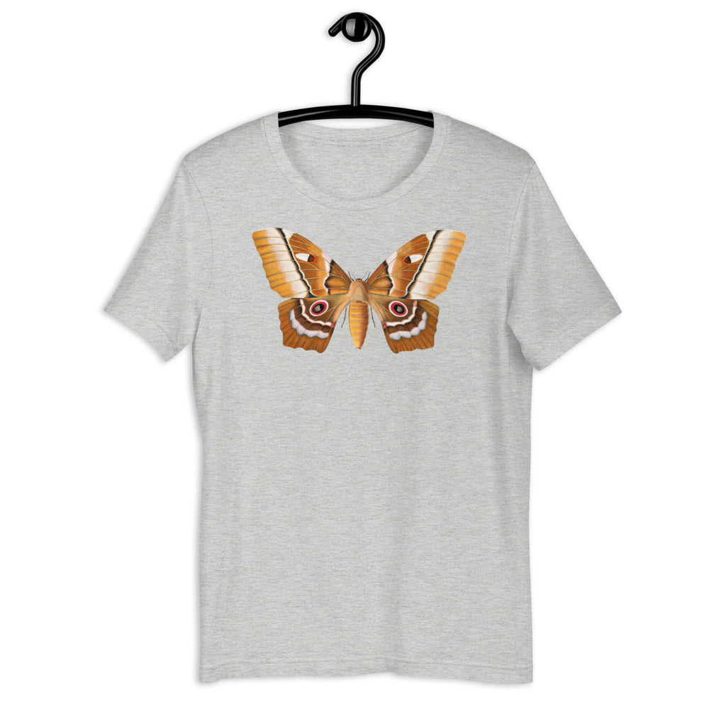 Winged Creatures | A Moth Walks Into a Podiatrist&