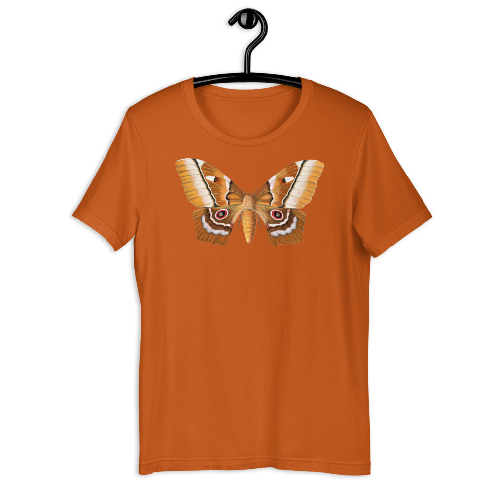 Winged Creatures | A Moth Walks Into a Podiatrist&