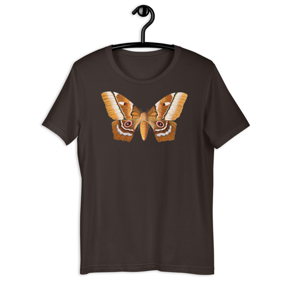Winged Creatures | A Moth Walks Into a Podiatrist&