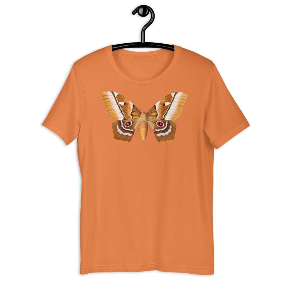 Winged Creatures | A Moth Walks Into a Podiatrist&