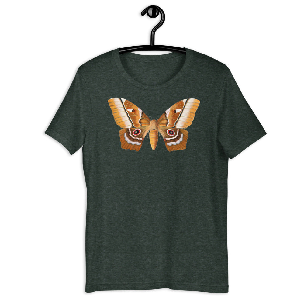 Winged Creatures | A Moth Walks Into a Podiatrist&