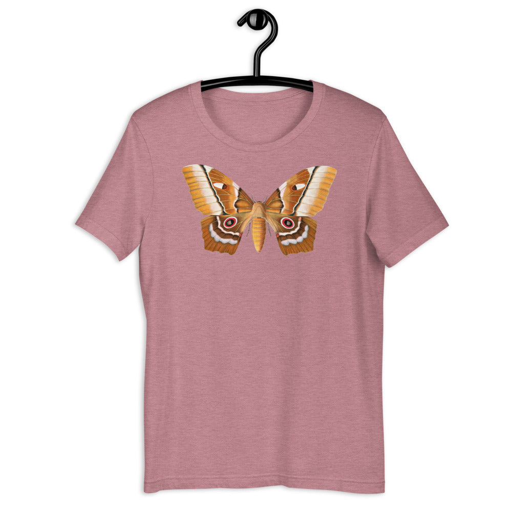 Winged Creatures | A Moth Walks Into a Podiatrist&