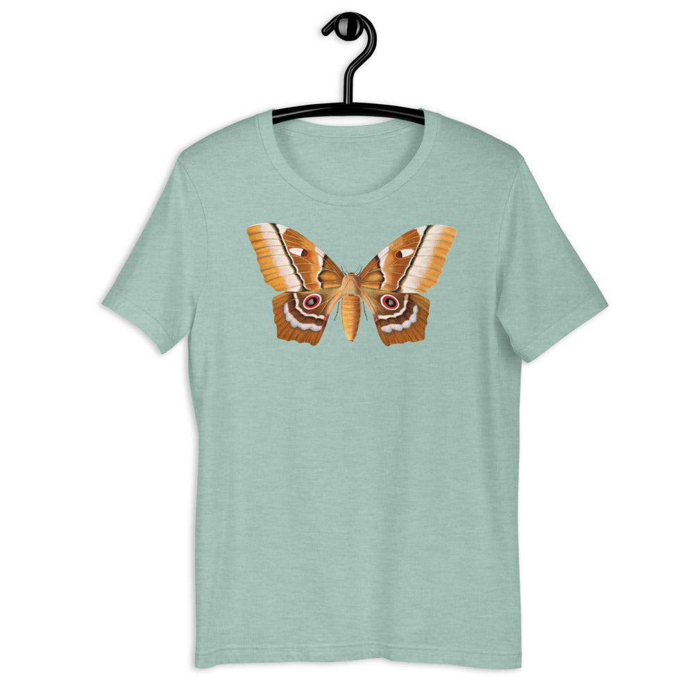 Winged Creatures | A Moth Walks Into a Podiatrist&