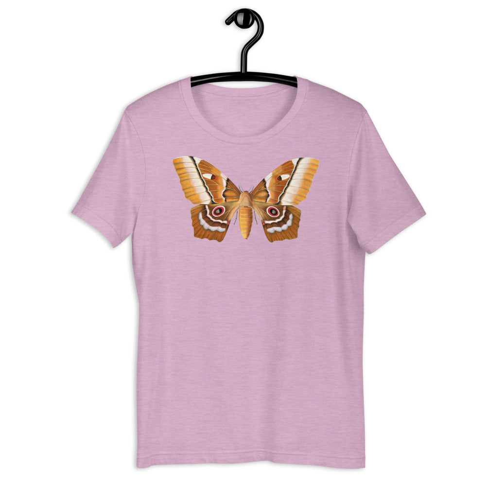 Winged Creatures | A Moth Walks Into a Podiatrist&