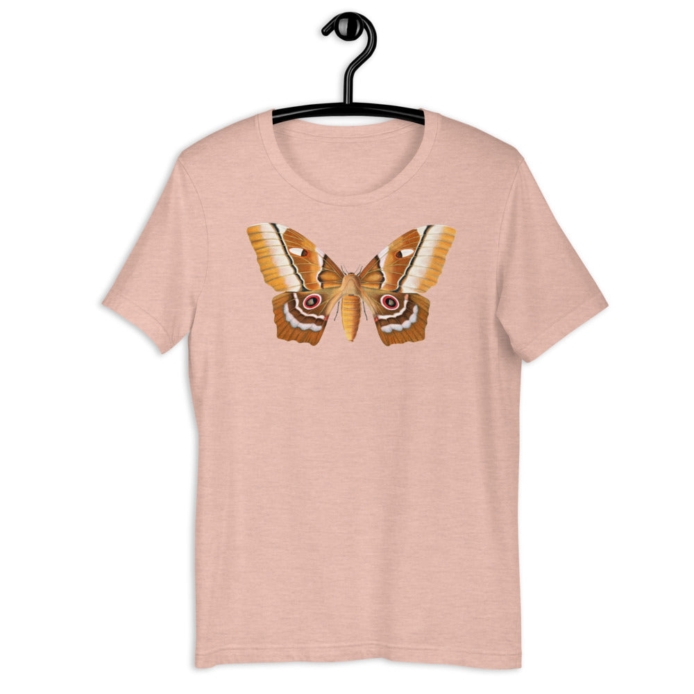 Winged Creatures | A Moth Walks Into a Podiatrist&