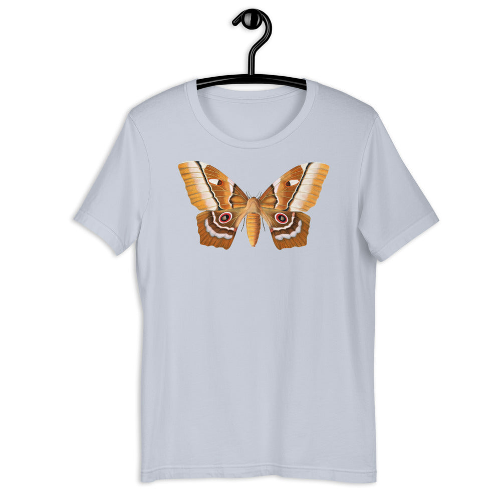 Winged Creatures | A Moth Walks Into a Podiatrist&
