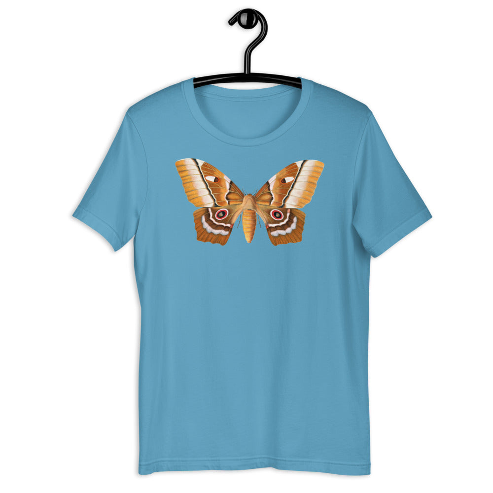 Winged Creatures | A Moth Walks Into a Podiatrist&