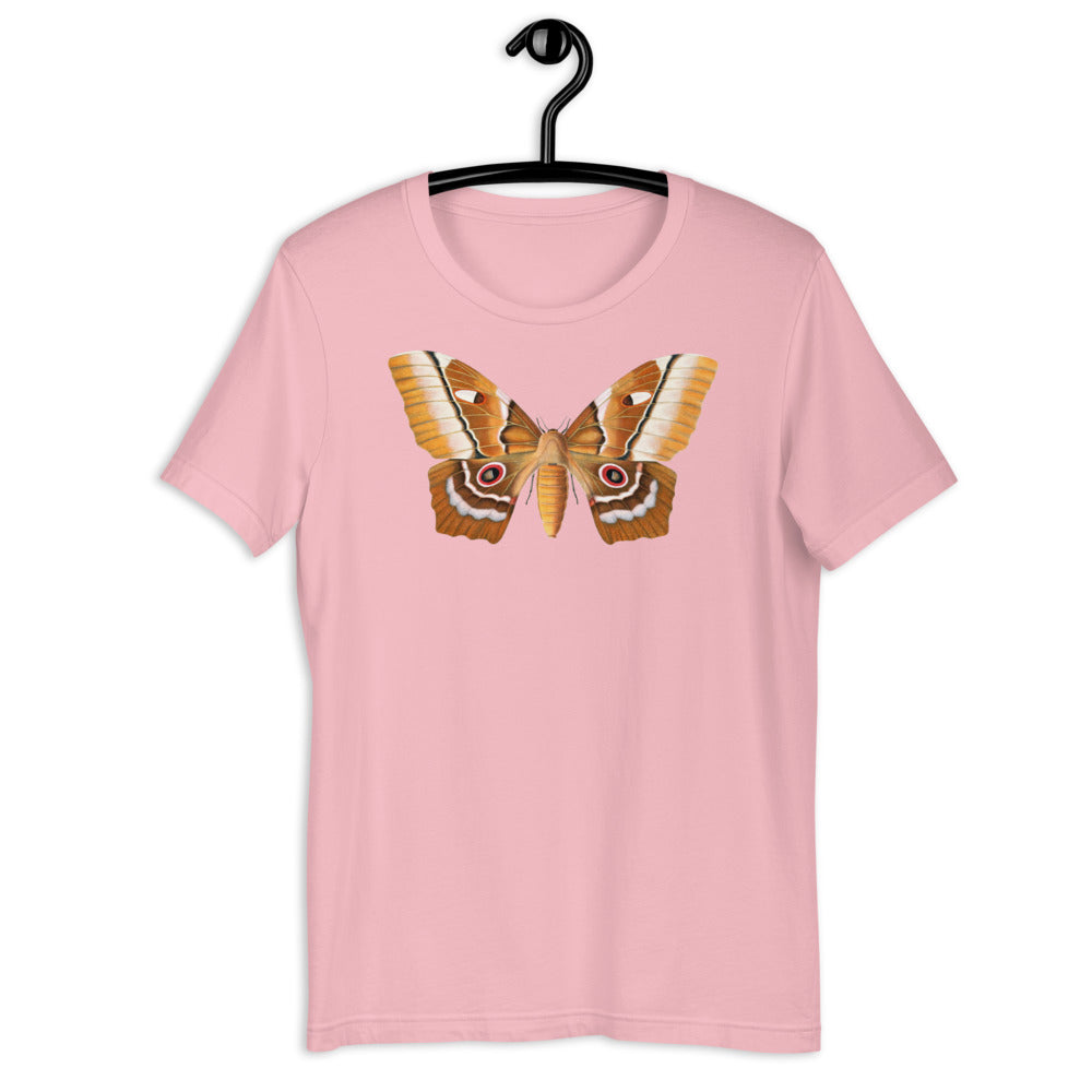 Winged Creatures | A Moth Walks Into a Podiatrist&