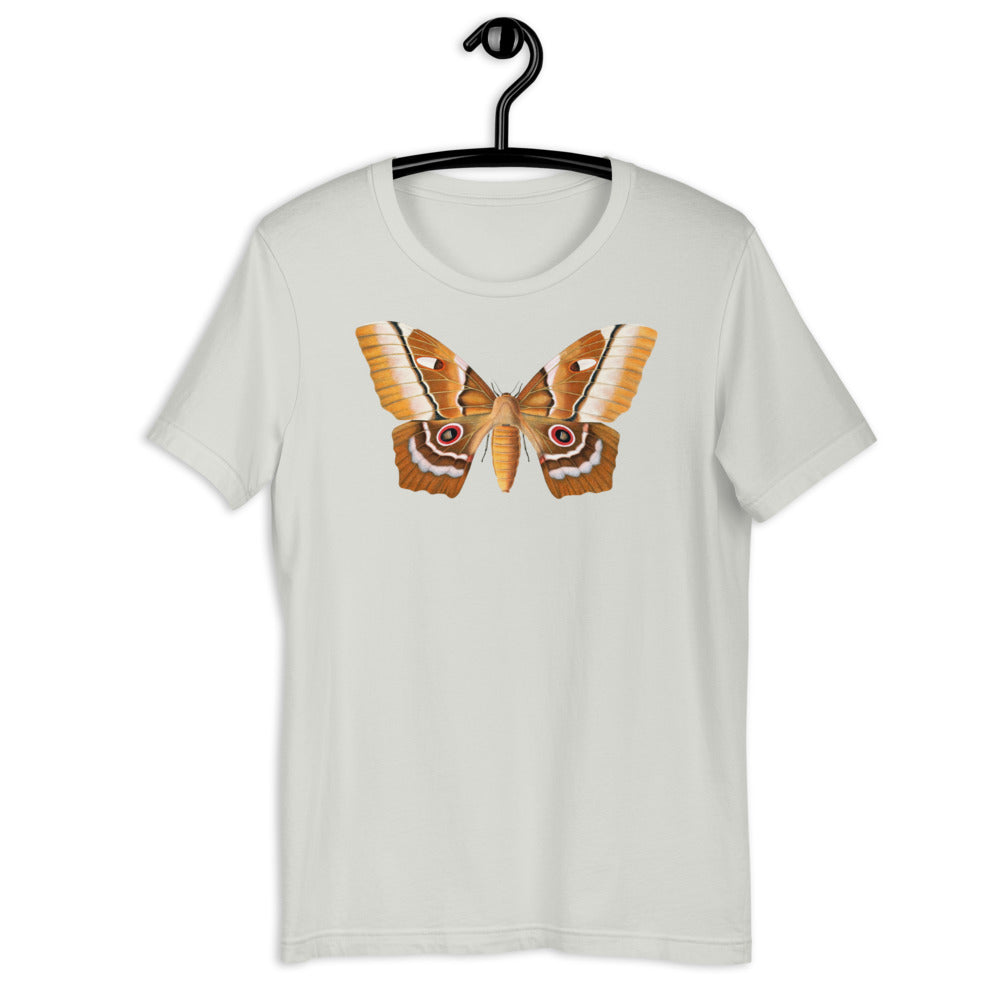 Winged Creatures | A Moth Walks Into a Podiatrist&