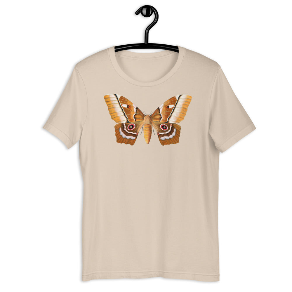 Winged Creatures | A Moth Walks Into a Podiatrist&